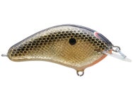 Greenfish Tackle G Flat Shallow Diving Crankbait