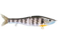 G-Ratt Steve Kennedy Signature Glide Baits