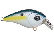 Googan Squad Banger Squarebill Sexy Shad 1/8