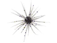 Hideup Coike 13mm Creature Bait