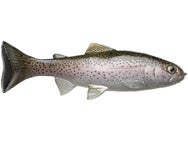 Huddleston Deluxe 68 Special Weedless Swimbaits