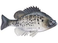Huddleston Deluxe Bluegill Top Hook Swimbaits