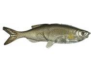 Huddleston Weedless Grass Minnow 3.75" Swimbaits 