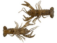 Huddleston Hand Painted Unrigged Huddle Bug 3pk