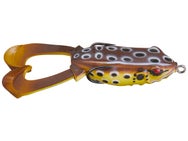 Hag's Outlier Swimming Frog