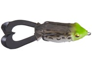 Hag's Outlier Swimming Frog