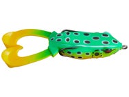 Hag's Outlier Swimming Frog