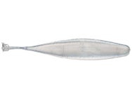 6th Sense Hondo Swimbait