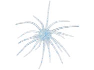 Hag's Prickly Pear 19mm Creature Bait