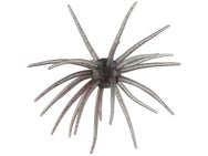 Hag's Prickly Pear 19mm Creature Bait