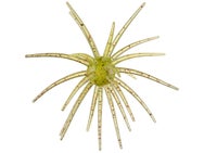 Hag's Prickly Pear 19mm Creature Bait