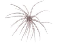 Hag's Prickly Pear Jr 10mm Creature Bait 2pk