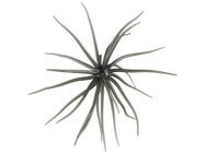 Hag's Prickly Pear Jr 10mm Creature Bait 2pk