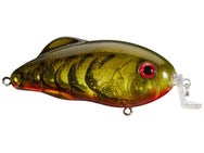 Strike King SW Hybrid Hunter Shallow Phntm Water Rd Crw