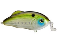 Strike King SW Hybrid Hunter Shallow Sexy Pogy