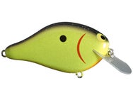 ima Shaker Crankbait