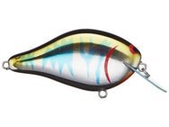 ima Shaker Crankbait