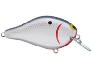 ima Shaker Crankbait