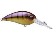 Jenko CD7 Medium Diving Crankbait