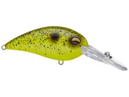 Jenko CD7 Medium Diving Crankbait