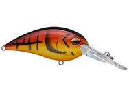Jenko Fishing Kentucky Gold CD7 Crankbait
