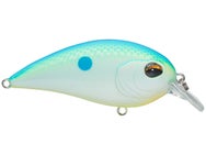 Jenko Fishing CD Squarebill Crankbaits 