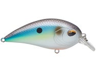Jenko Fishing CD Squarebill Crankbaits 