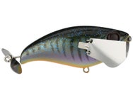Jackall Pompadour Walking Bait