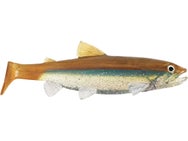 Jerry Rago SKT Pro Swimmer Inline