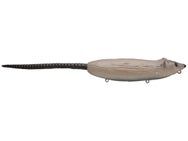 Jerry Rago's Walking Rat