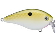 Strike King KVD HC Shallow Squarebill 1.5 Crankbait