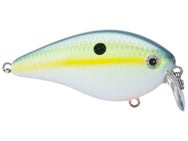 Strike King KVD HC Shallow Squarebill 1.5 Crankbait