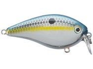 Strike King KVD HC Shallow Squarebill 1.5 Crankbait