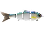Bucca Brand Lil' Baby Bull Shad Swimbait 2.5" 