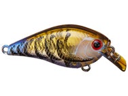 Lucky Craft LC 0.3 Silent Squarebill Crankbaits