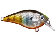 Lucky Craft LC 0.5 Silent Squarebill Crankbaits