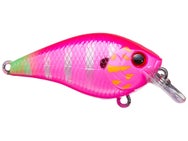Lucky Craft LC 0.5 Silent Squarebill Crankbaits