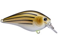 Lucky Craft LC 1.5 Silent Squarebill Crankbait