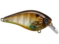 LC Silent 1.5 Flake Flake Striped Gill