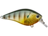 Lucky Craft LC 1.5 Silent Squarebill Crankbait