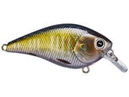 Lucky Craft LC 1.5 Silent Squarebill Crankbait