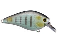 Lucky Craft LC 1.5 Silent Squarebill Crankbait