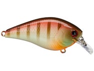 LC Silent 1.5 Shin Tone Gill