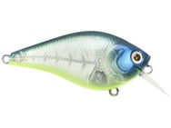 LC Silent 1.5 Bone Pro Blue 