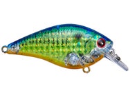 Leurre De Pêche Lucky Craft Fat CB BDS 3 Big Daddy Strike - Crankbait Pour Bass, Occasion