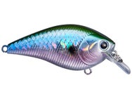 Lucky Craft LC 1.5 Silent Squarebill Crankbait