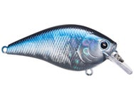 Lucky Craft LC 1.5 Silent Squarebill Crankbait