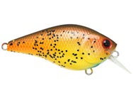 LC Silent 1.5 Bull Bream 
