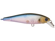 Lucky Craft Pointer 48 Jerkbait