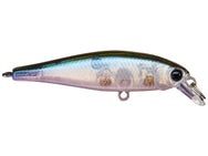 Lucky Craft Pointer 48 Jerkbait